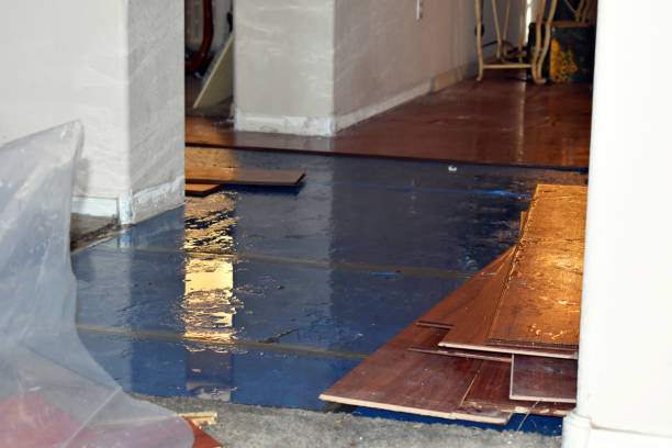 Professional Water Damage Restoration technician working in Petal, MS